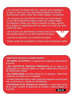 Red Card Example